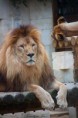 /album/humeur-feline/img-2282-jpg/